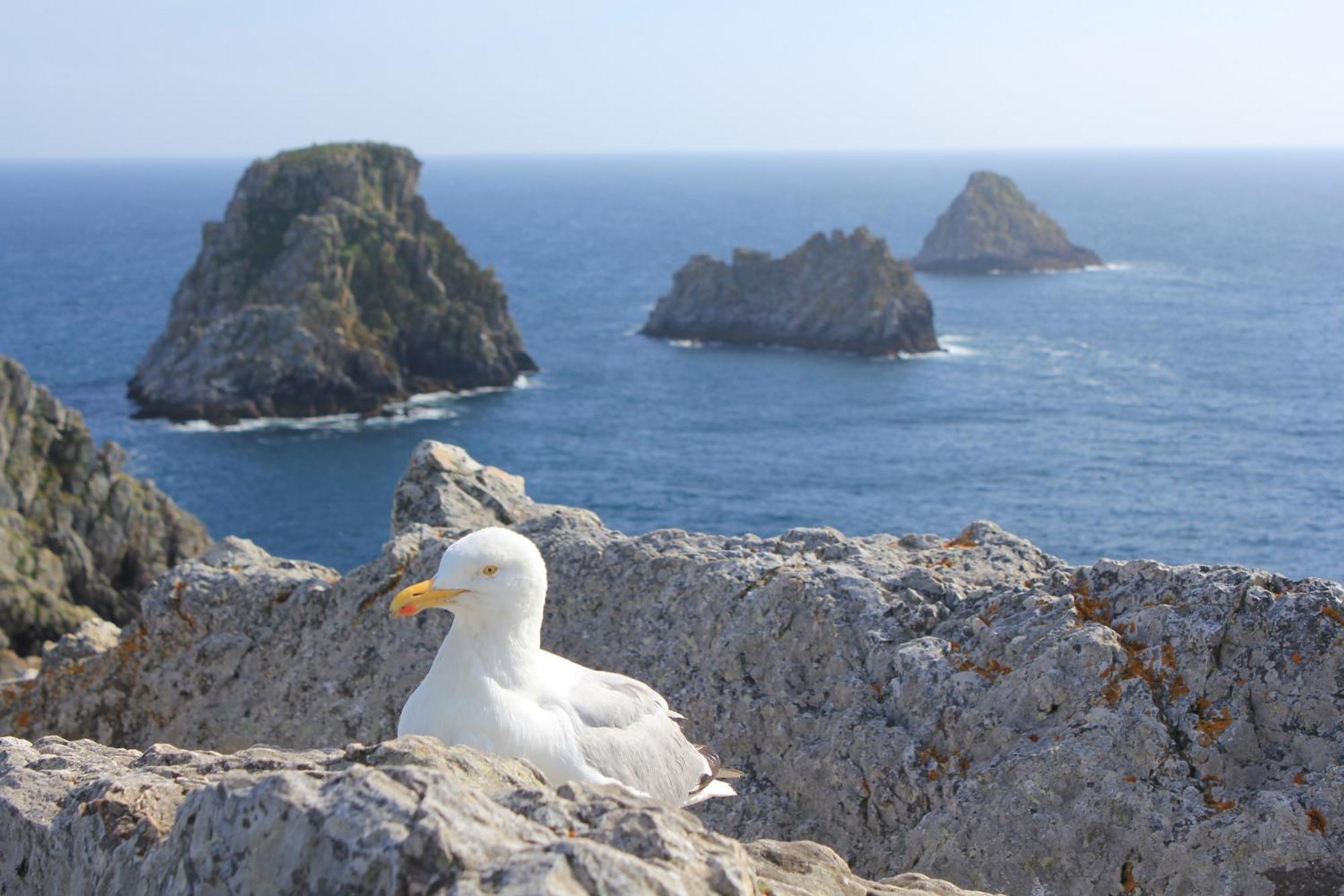 Hostellerie De La Mer Crozon Zewnętrze zdjęcie